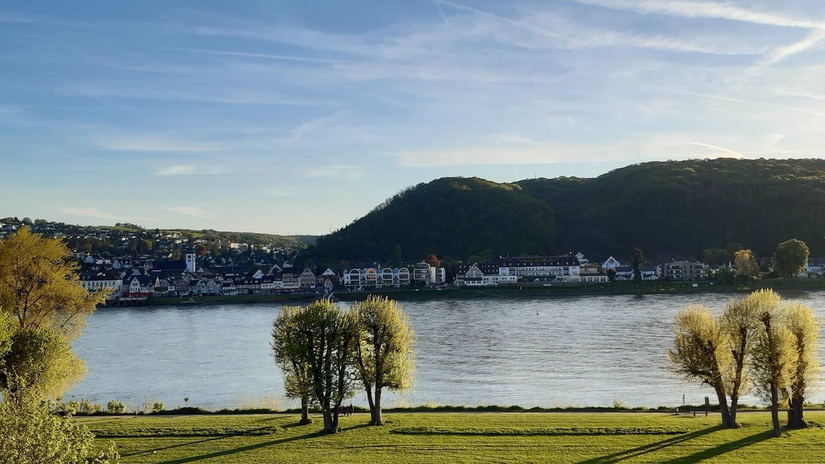 Rederscheid Apartment | Apartment with a view of the Rhine
