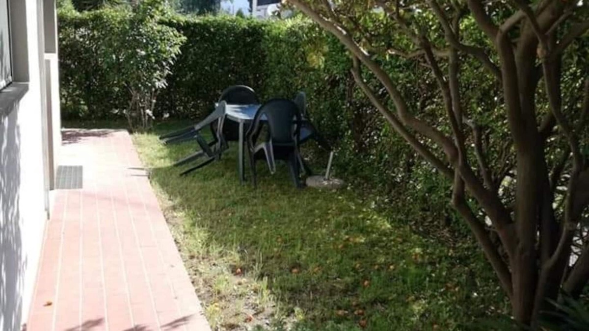 Marina di Massa Apartment | Apartment With Garden