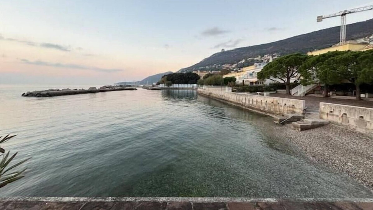 Roiano-Gretta-Barcola-Cologna-Scorcola Apartment | Apartment with private beach