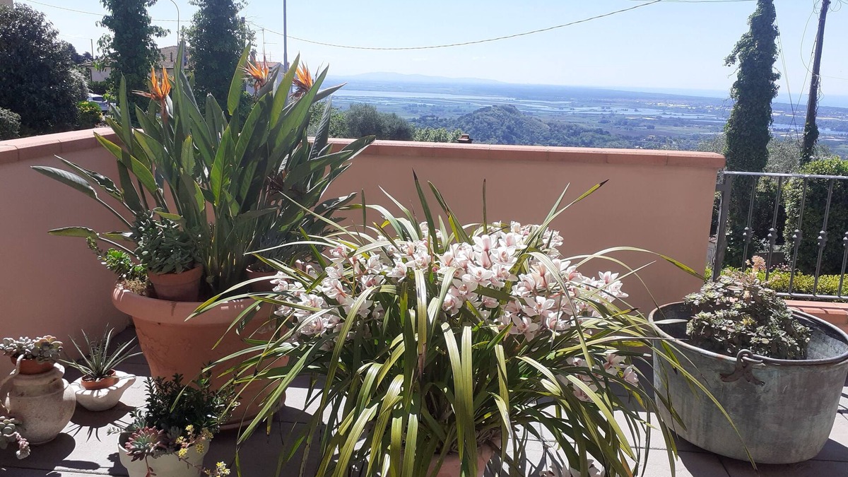 Corsanico-Bargecchia Apartment | Apartment with view of the Tuscan coast and garden