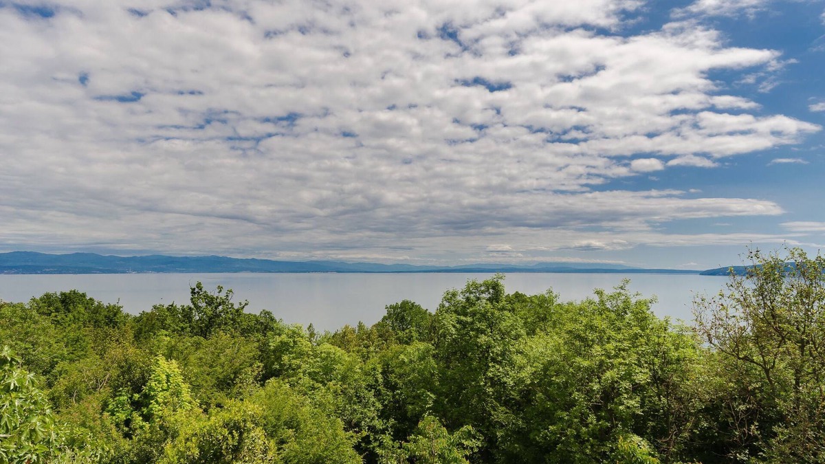 Medveja Apartment | Apartment ZORKA (27521-A1) - Medveja