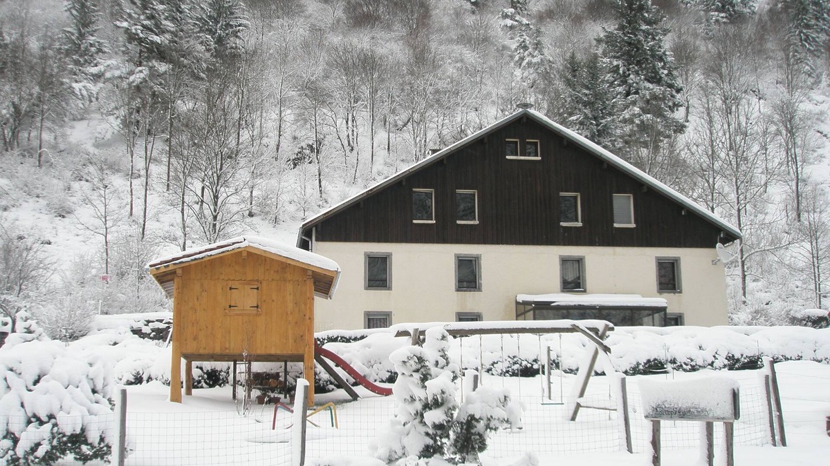 La Bresse Apartment | apartments - 4 rooms - 6/7 persons