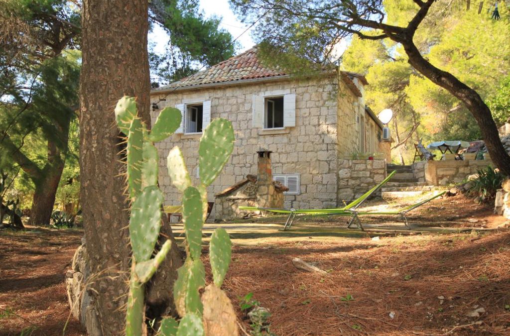 Milna Apartment | Apartments by the sea Milna, Vis - 8490