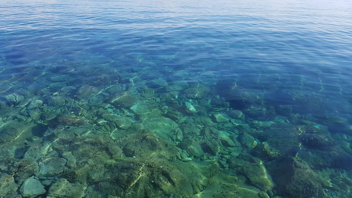 Island Hvar Apartment | Apartments Caric