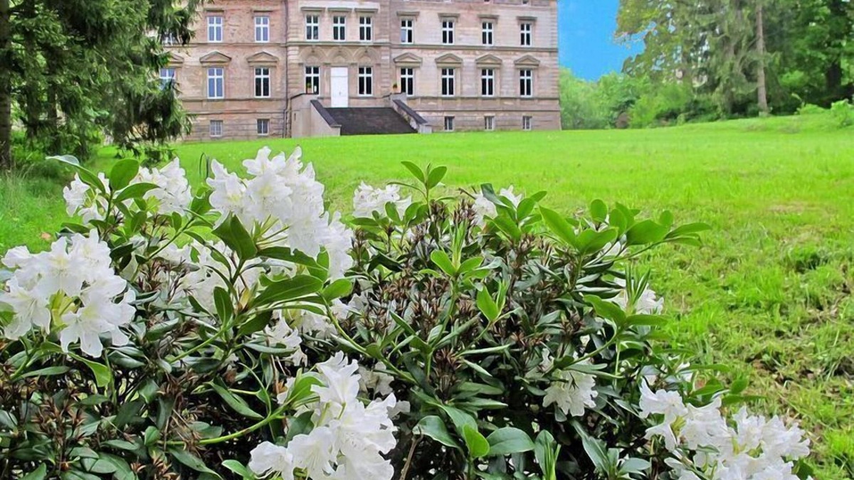 Bobitz Apartment | Apartments in Tressow Castle, Bobitz