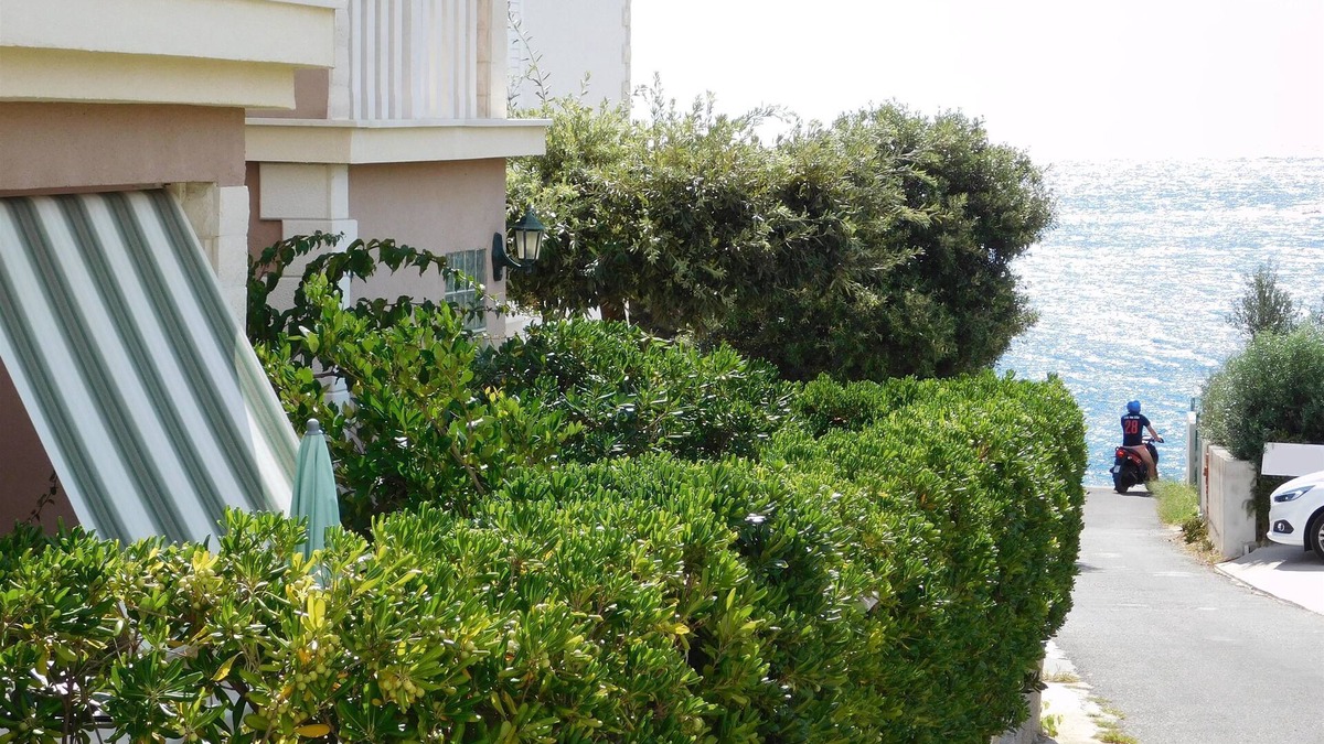 Milna Apartment | Apartments Mirjana (45561-A1) - Milna