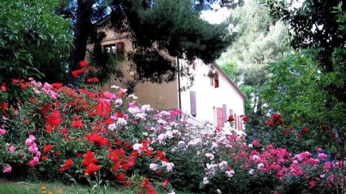 Monte San Vito Other | APP. in the MARCHIGIAN COUNTRY, Familiar