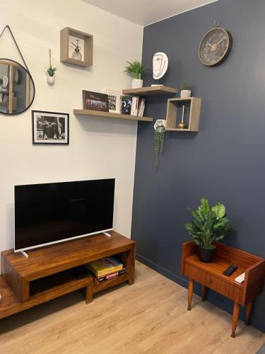 Saint-Symphorien-d'Ozon Apartment | Apparemment T2 meublé 2bis