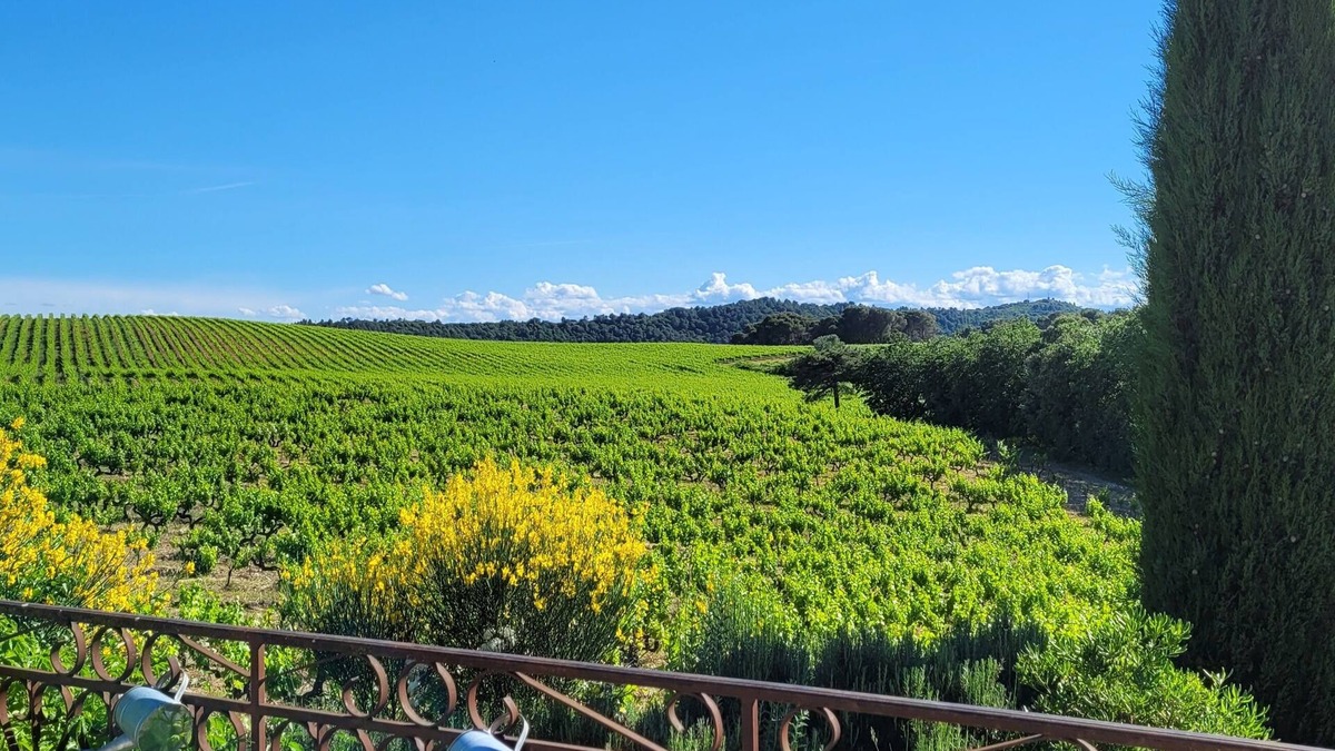 Mondragon Apartment | Apparently T2 in house in the middle of the vineyards