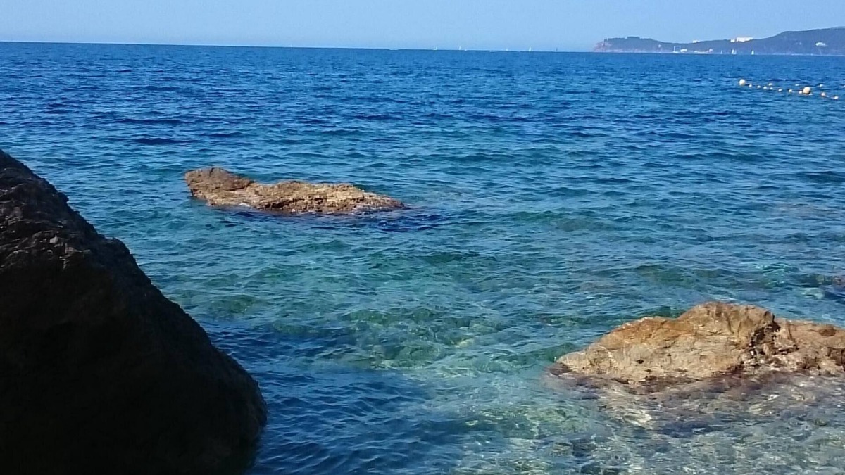 Le Pradet Apartment | Appart 4-5 pers Le Pradet Var: Holidays, village, beaches