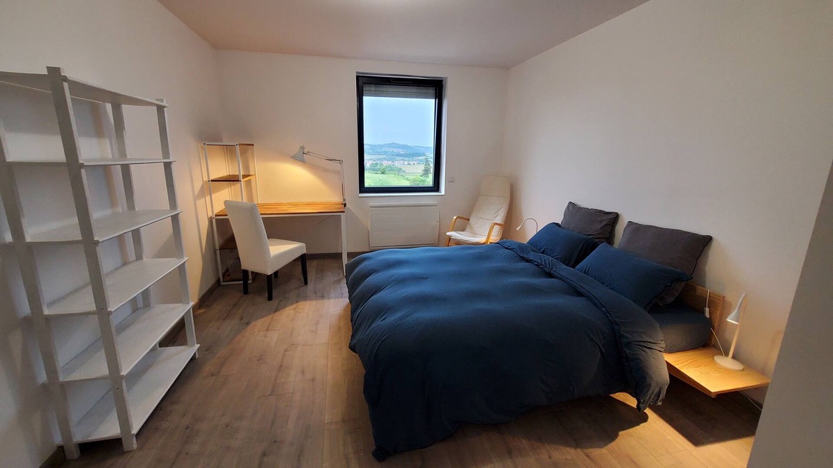 Roche-la-Moliere Apartment | Appart Avec Belle VUE ET Calme