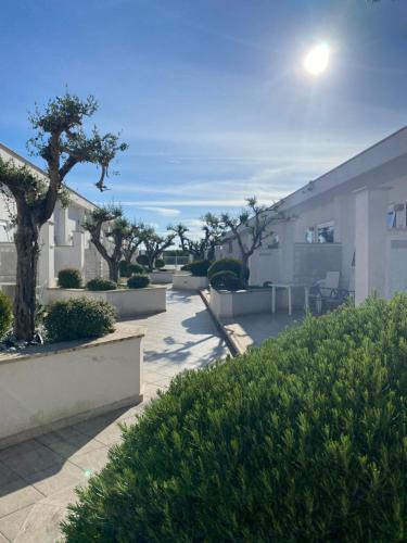 Albano Laziale Apartment | Appartamento a schiera con patio