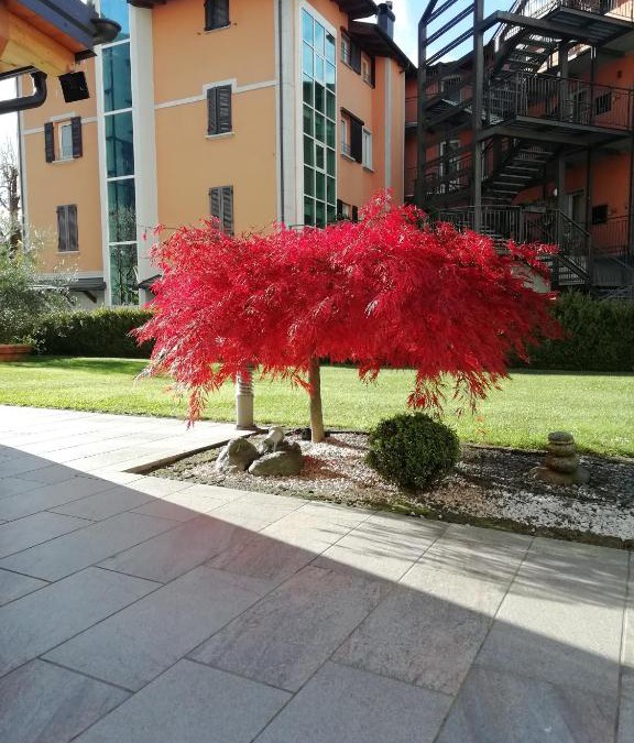 Madonna di Tirano Apartment | APPARTAMENTO ACERO - 2 min walk to Bernina Express