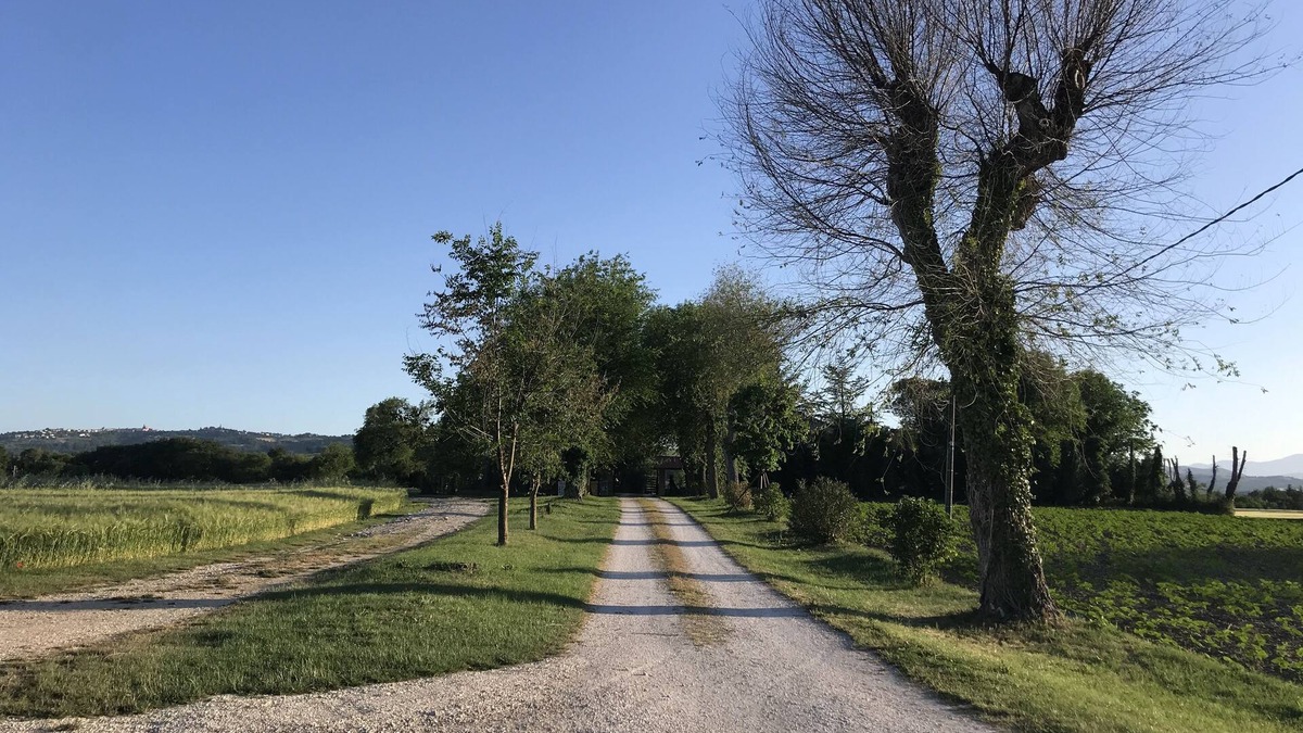 Molino Apolloni House | Appartamento Fichi Immerso nel Verde Delle Colline Marchigiane