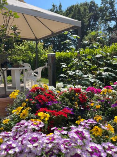 Rancate Apartment | Appartamento in Villa a Triuggio - Monza Brianza