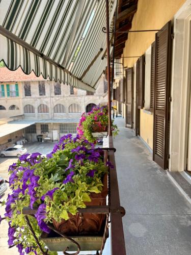 Saluzzo Apartment | Appartamento nel marchesato