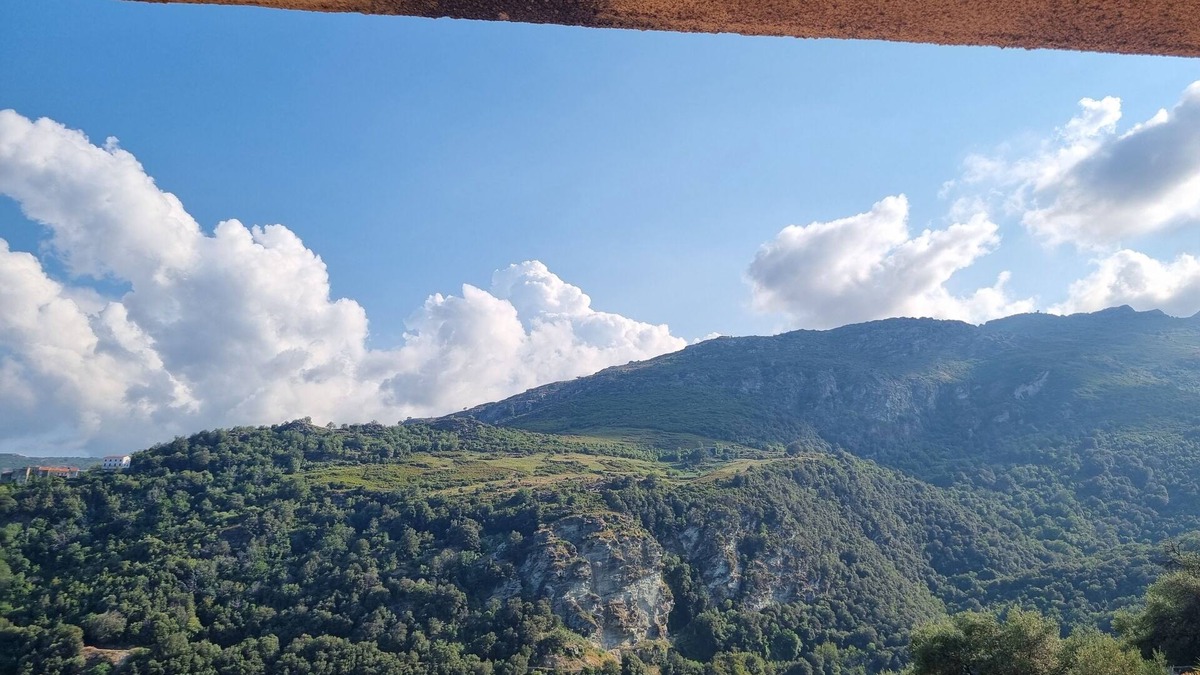 Santo-Pietro-di-Tenda Apartment | Appartement Dans une Residence Familliale