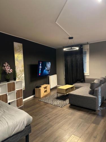 Montigny-le-Bretonneux Apartment | Appartement Claudel Netflix Saint Quentin en Yvelines