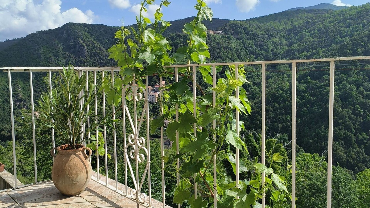 Sant'Andrea-di-Bozio Apartment | Appartement 35m² Avec Balcon vu sur la Nature !