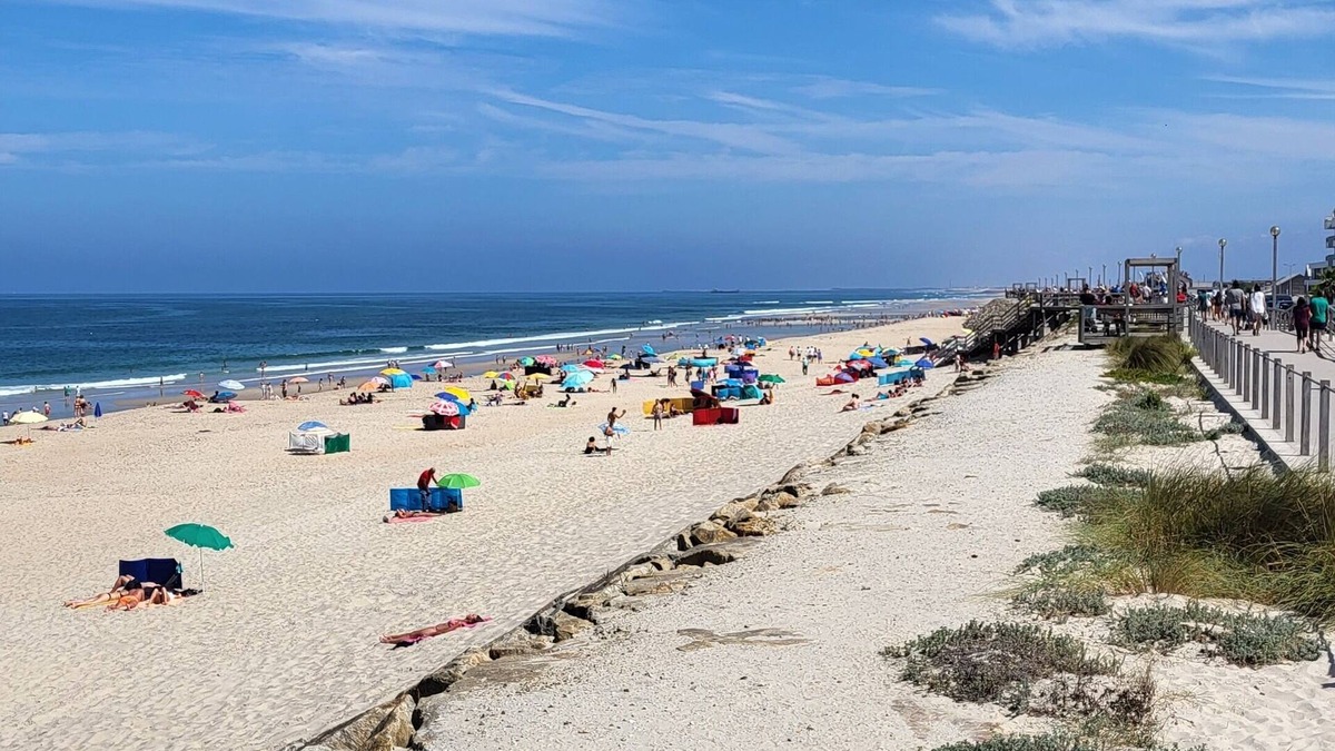 Vagos Apartment | Appartement 2 Chambres Praia Vageuira