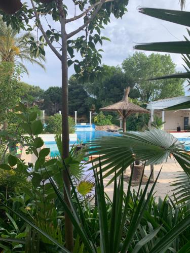 Les Hauts de Canet Apartment | Appartement Cosy Confort PARK CLIM WIFI LINGE INCLUS complexe non inclus l'été