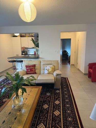 Saint-Louis Apartment | Appartement Confort centre ville Saint-Louis Accès Bâle et Allemagne