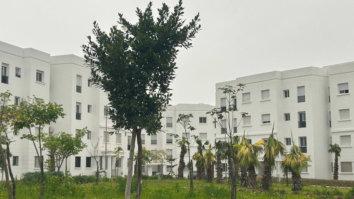 Hjar Ennhal Apartment | Appartement Près de CHU Tanger et la Foret Diplomatique