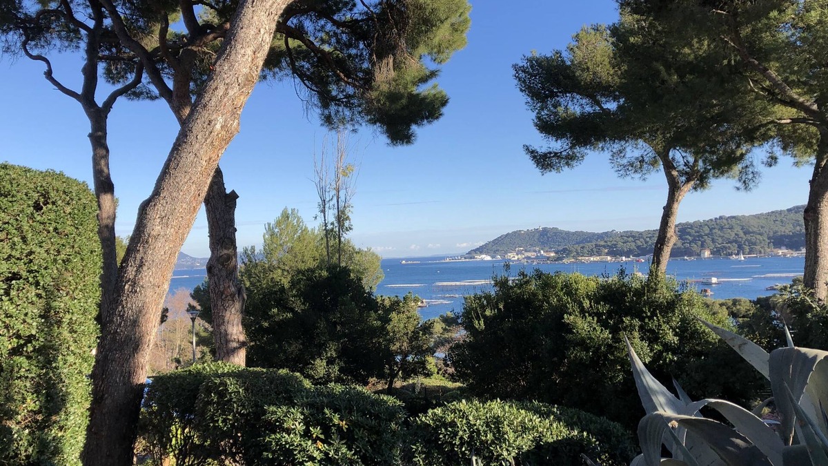Tamaris Apartment | Appartement T2 EN REZ DE Jardin Dans Residence Calme ET Arbore