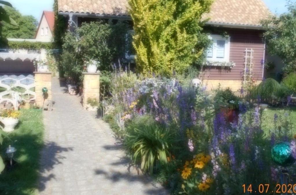 Dankerode Apartment | Appartment Dankerode