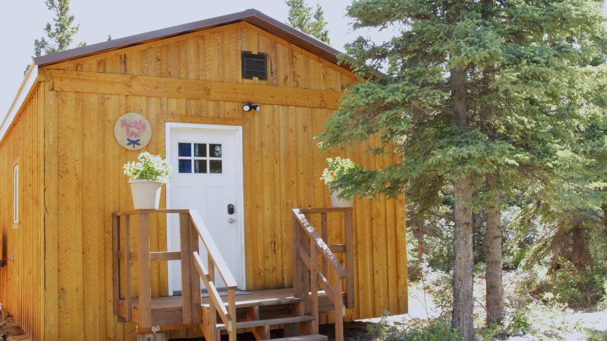 Healy Cabin | Arctic Dragonfly Inn