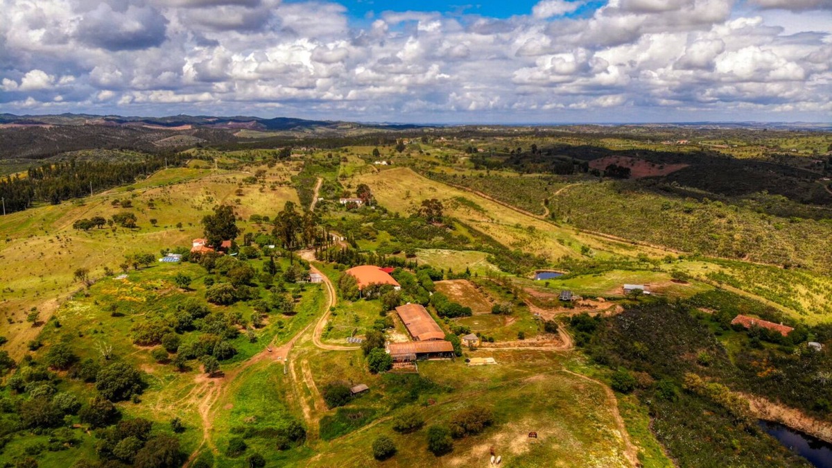 Aldeia dos Palheiros House | Are you looking for a place of healing? You found a place! "A New Earth"