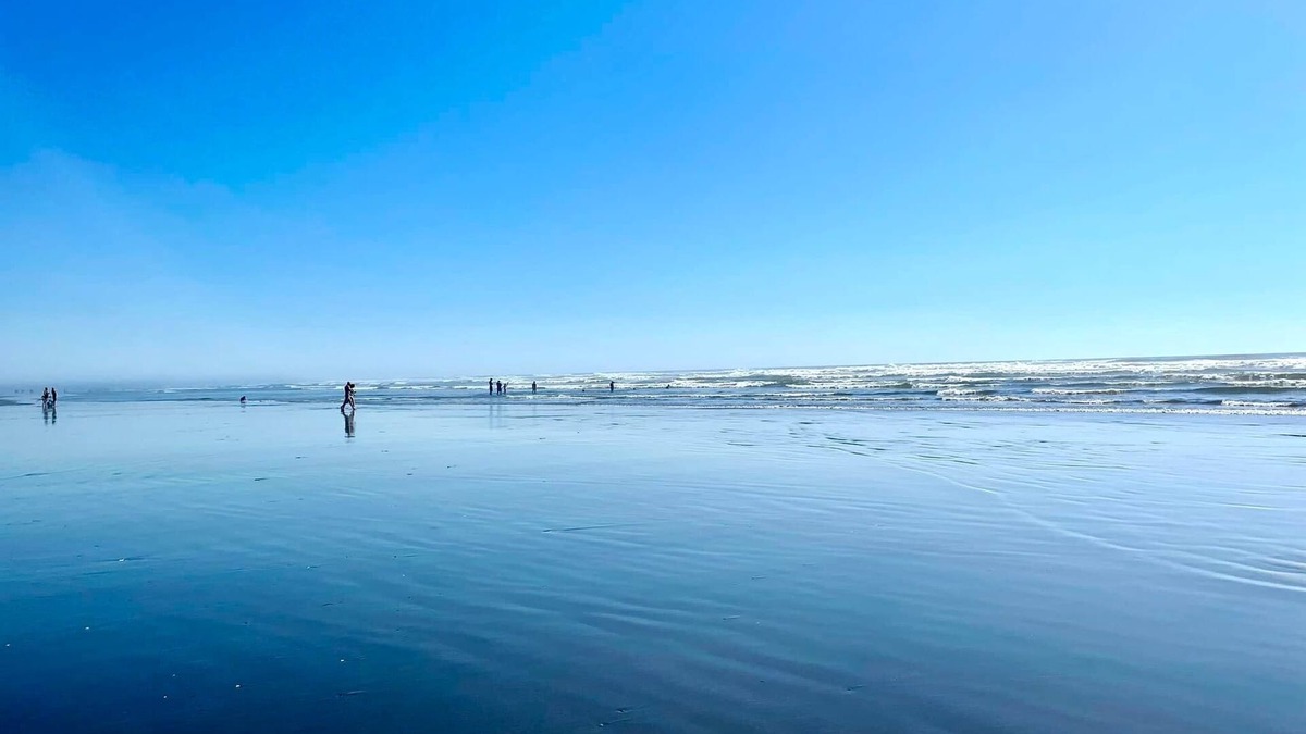 Grayland Hotel | Arena del Mar