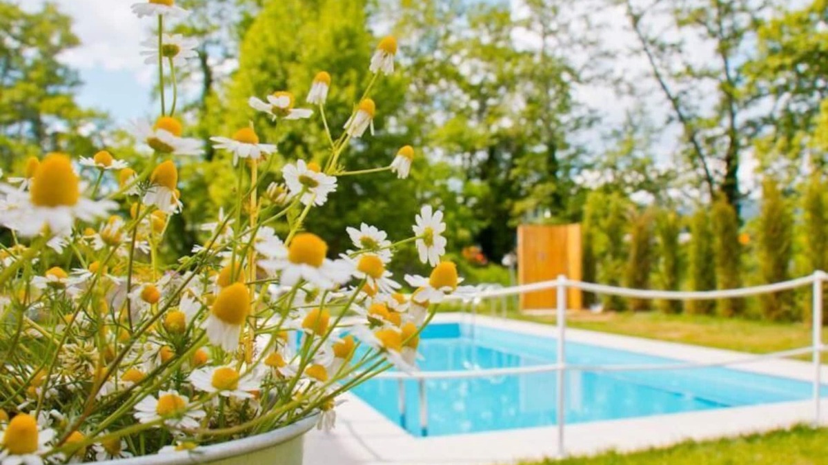 Olympiada Apartment | Aristotelia Gi Ikies - Cozy Poolside Suite