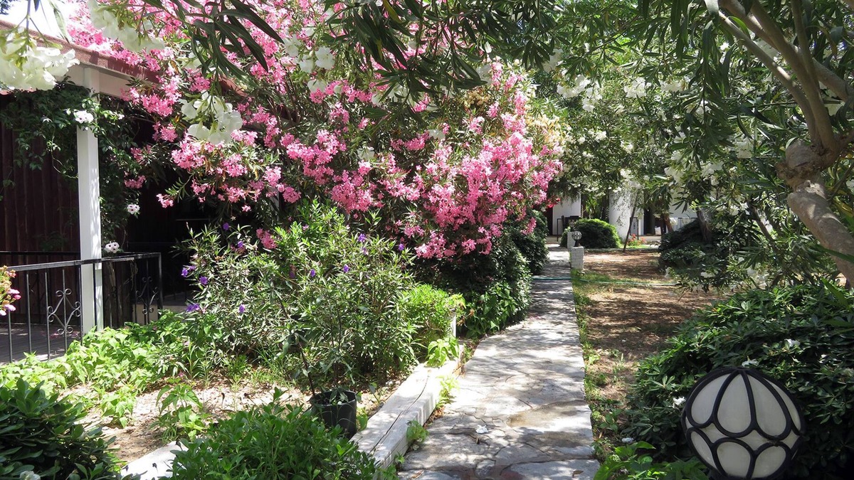 Gumusluk House | Arriba Apart Bungalow Restaurant