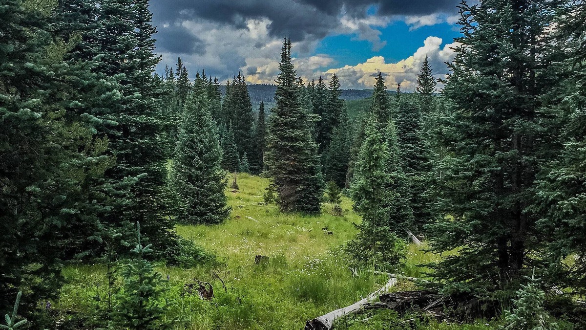 Cimarron Hotel | Arrowhead Mountain Lodge