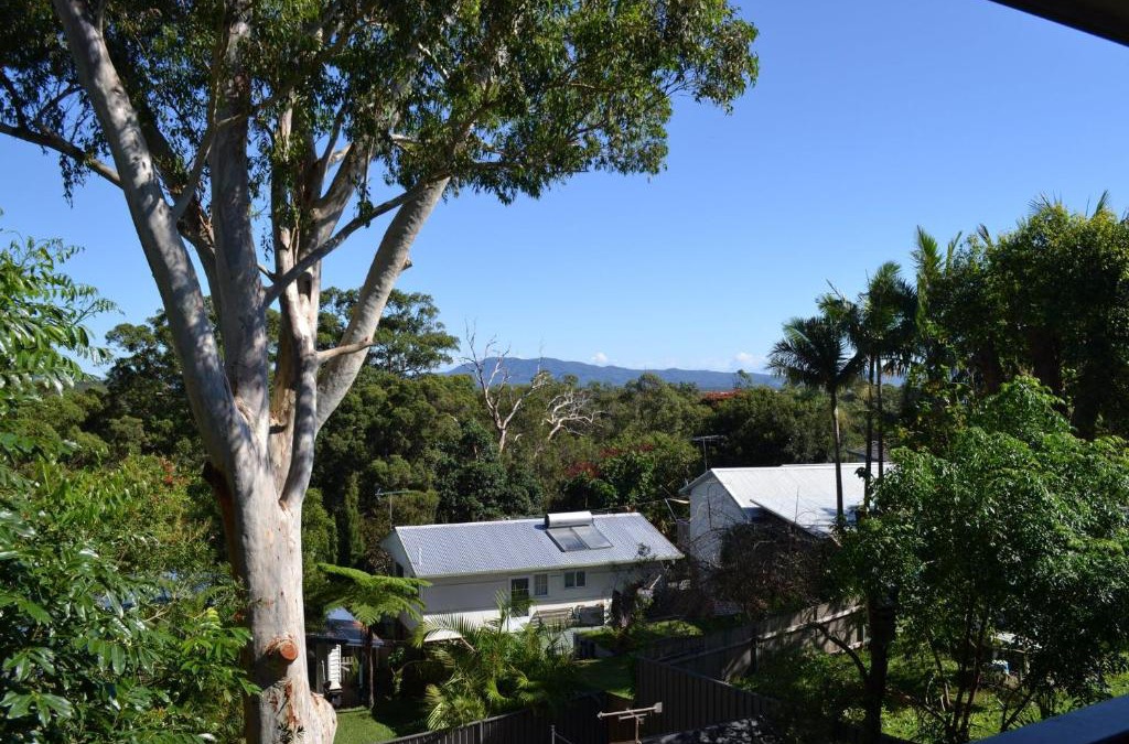 South West Rocks Apartment | Ashmore