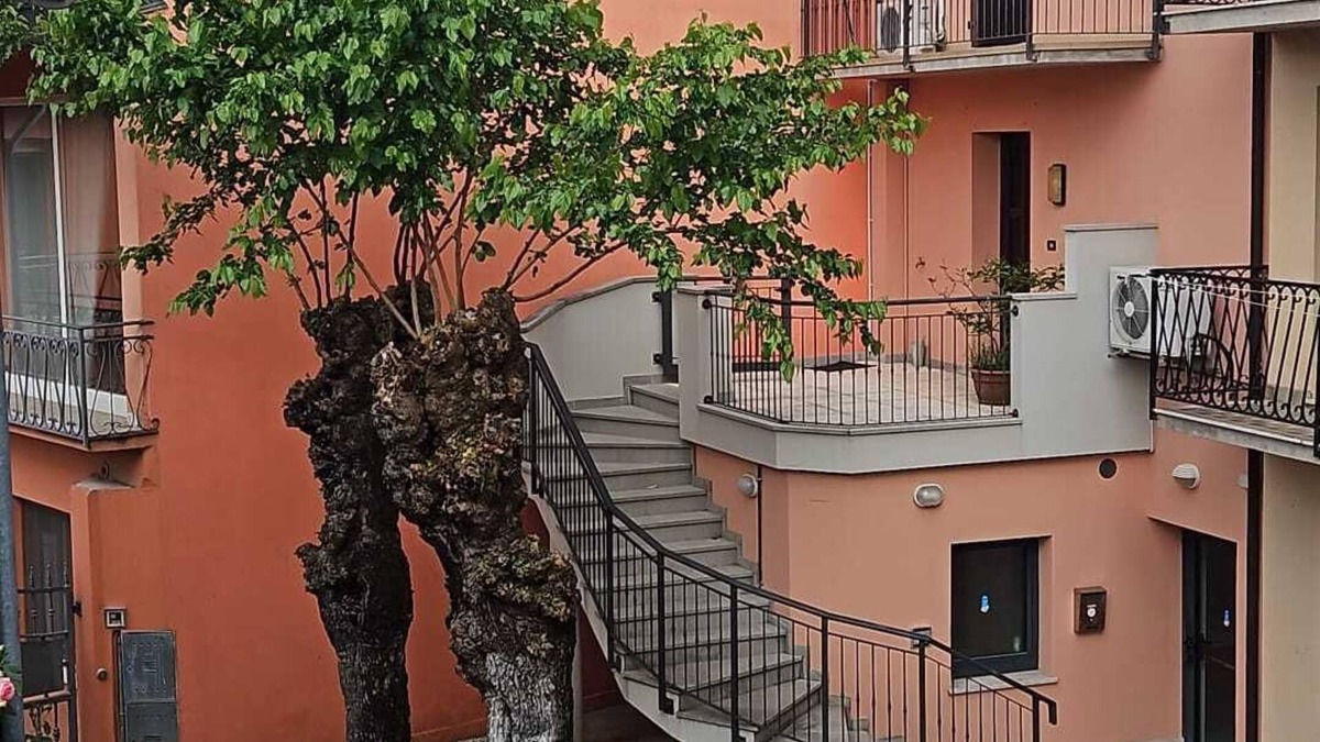 Lavariano Apartment | At Gelsi Relax in this quiet space in an old rural hamlet