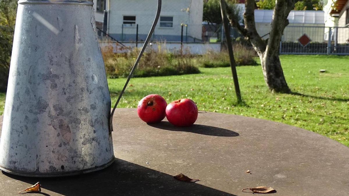 Berzhahn Apartment | At home at FANISSIMO - FANISSIMO the little house, 1 bedroom-living room, shower toilet