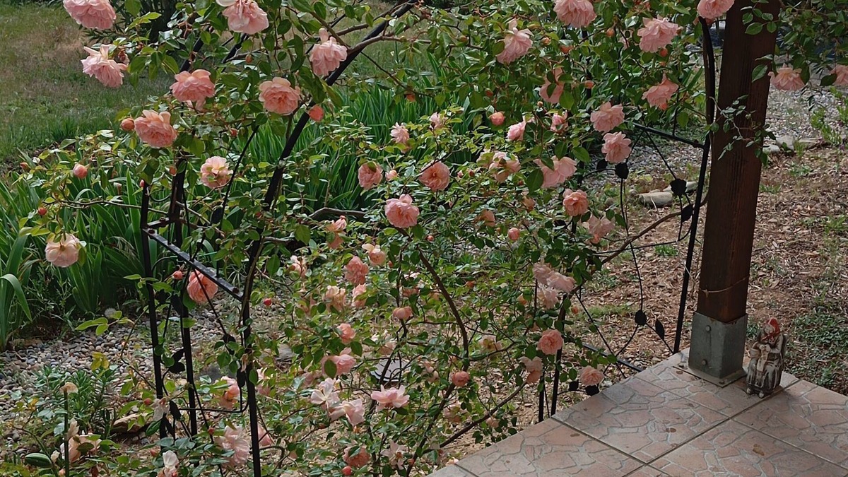 Rieux-Minervois Bed & Breakfast | At Lia and Danny's