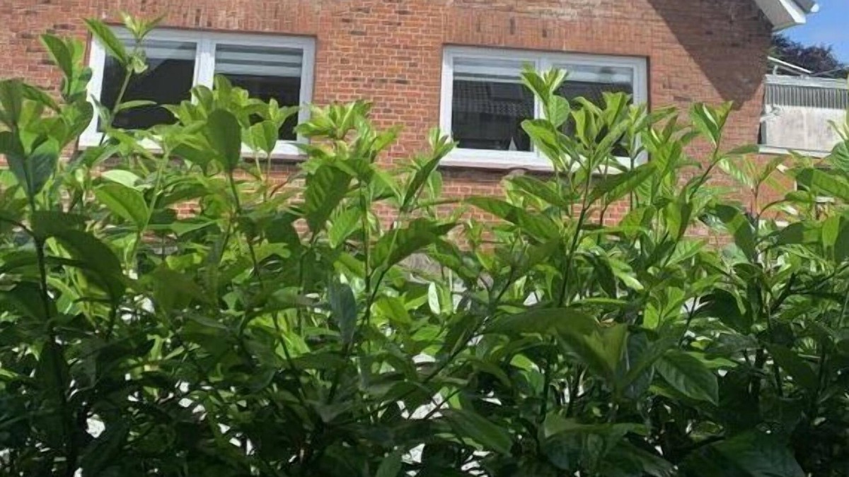 Breklum House | At Paulsen's Modern Retreat