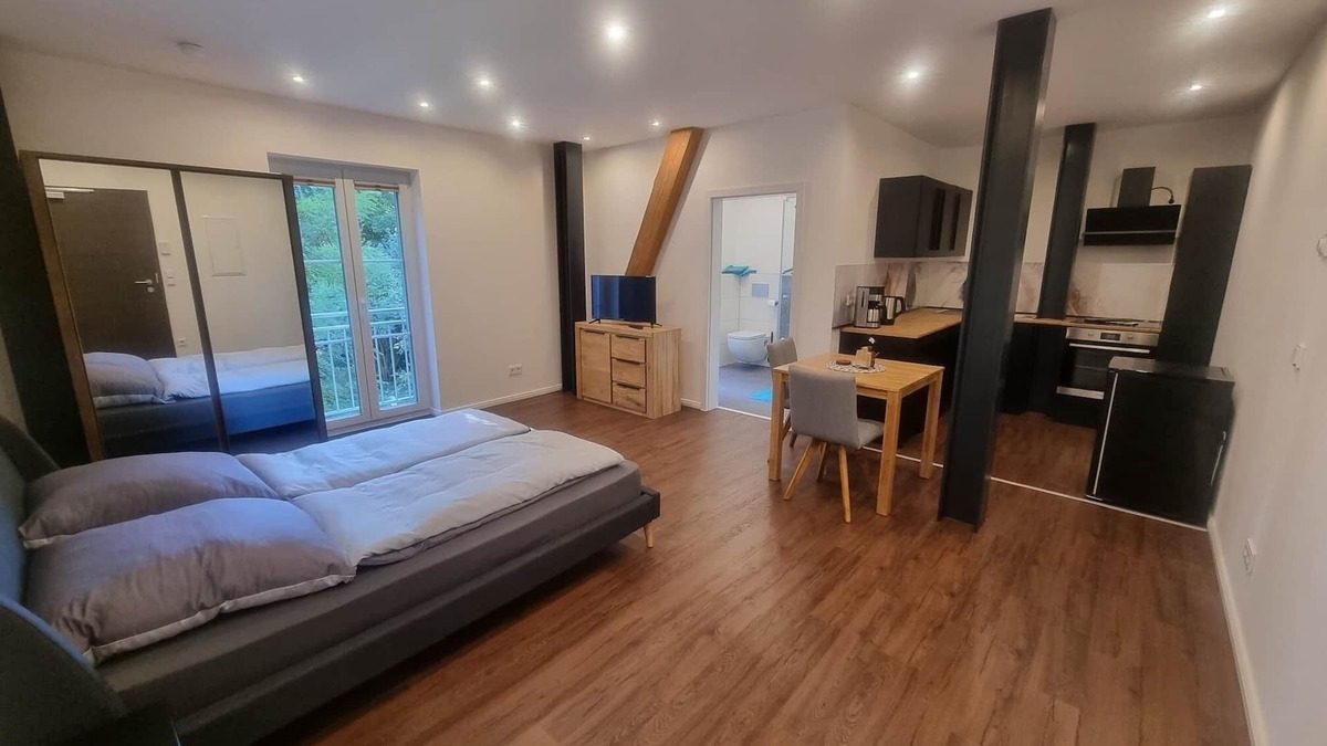 Eckental Apartment | At the gateway to Franconian Switzerland! - Studio Apartment - SchwabachAuen 1