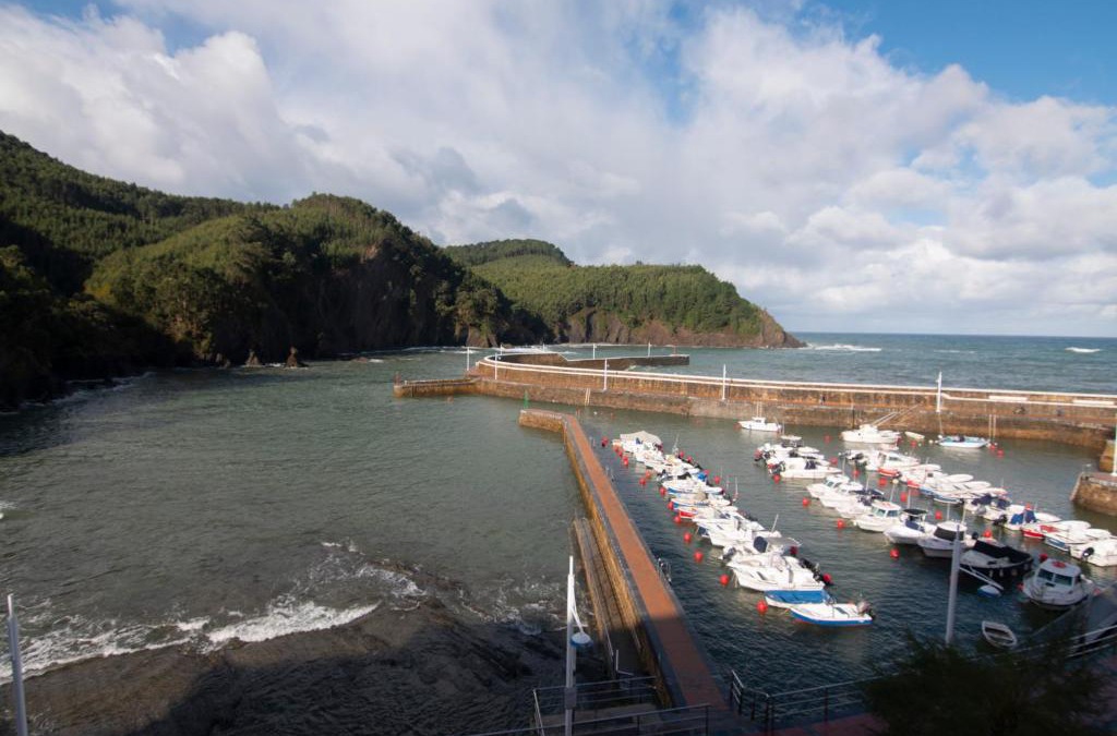 Arminza Apartment | Atsedenportua