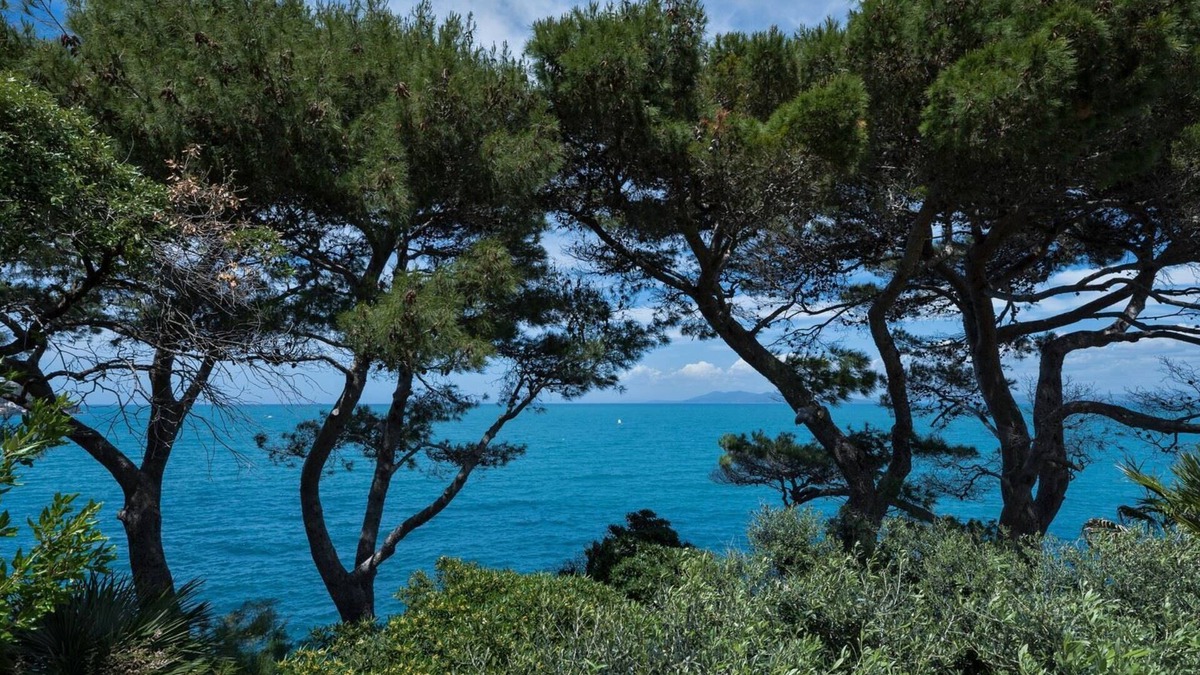 Porto Santo Stefano Apartment | Attico, Punta Nera, Monte Argentario, Grosseto and Maremma