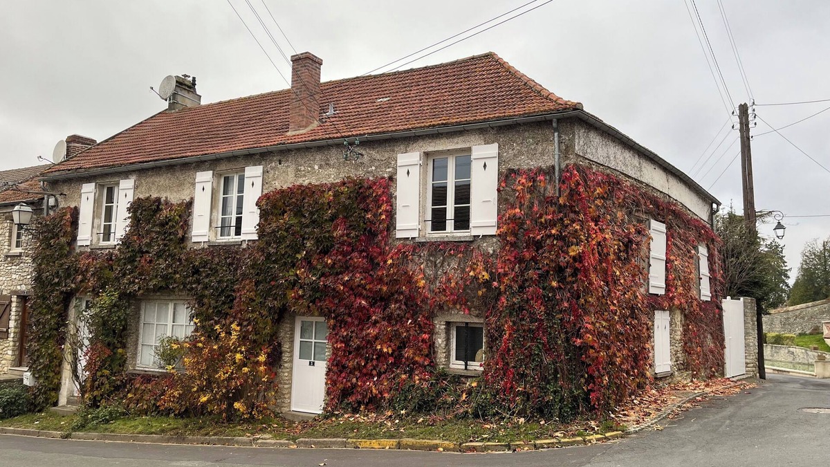 Jumeauville House | Atypical village house near Versailles and the African game park of Thoiry