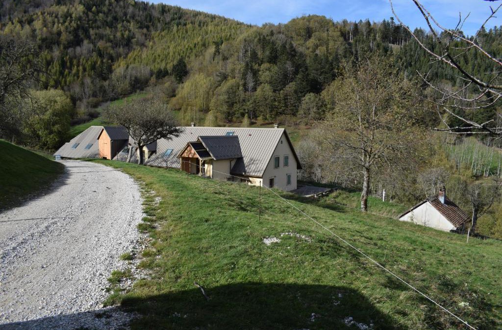 Dolleren Hotel | Auberge du Graber