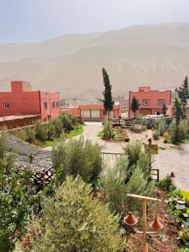 Tamtetoucht Bed & Breakfast | Auberge haut atlas