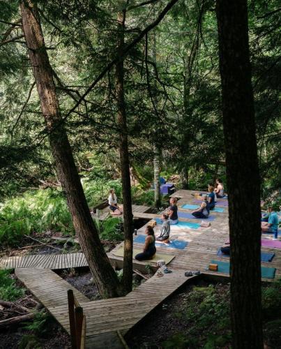 Lac-Brome Hostel | Auberge Yoga Salamandre