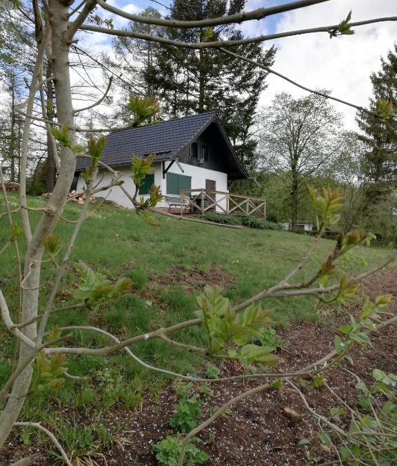 Stolberg Apartment | Auerberg Blick