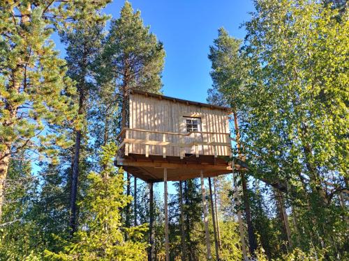 Arvidsjaur Other | Aurora Lodge