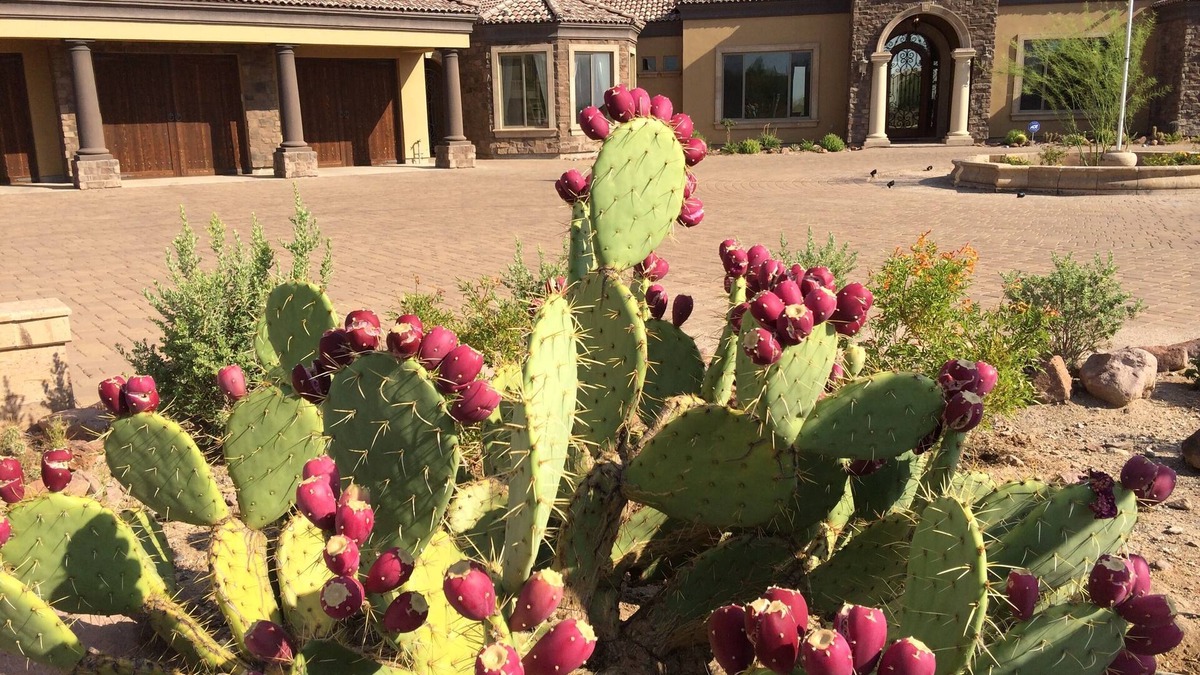 Apache Junction House | AUTHENTIC SANTA FE TUSCAN-STYLE VILLA WITH PANORAMIC VIEWS.